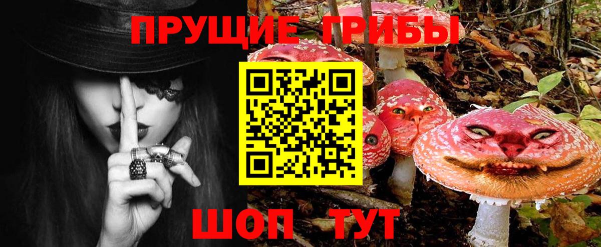 Галлюциногенные грибы GOLDEN TEACHER Вольск